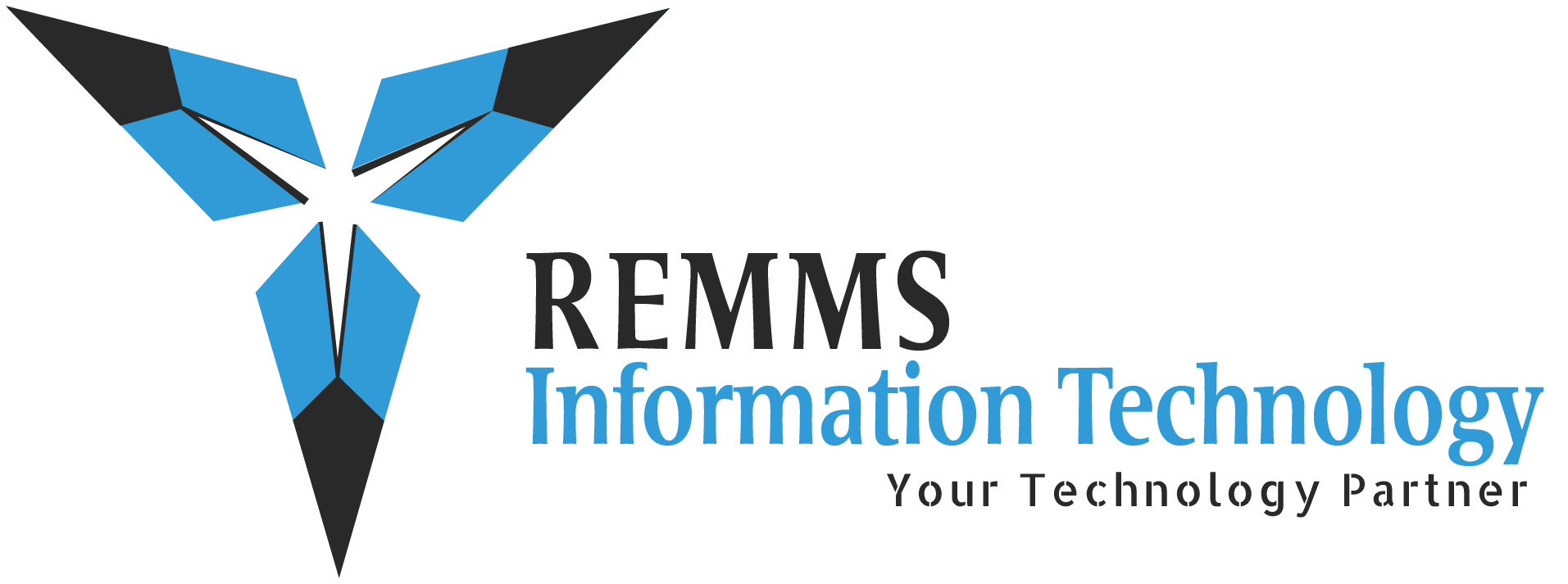 Remms Information Technology